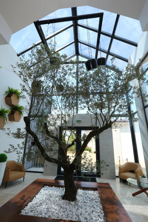 Valentino Rooms Focşani Exterior foto